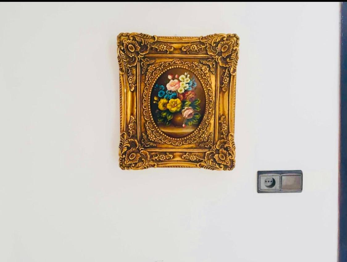 Appartement Charmant 弗尼迪克 外观 照片